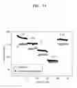 Fig. 20 - POROUS ELECTRODE FOR LITHIUM BATTERY, METHOD OF MANUFACTURING THE SAME, AND LITHIUM BATTERY INCLUDING THE SAME