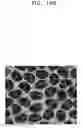 Fig. 27 - POROUS ELECTRODE FOR LITHIUM BATTERY, METHOD OF MANUFACTURING THE SAME, AND LITHIUM BATTERY INCLUDING THE SAME