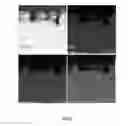Fig. 14 - Method of fabricating nanoporous metal structure