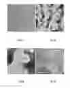 Fig. 15 - Method of fabricating nanoporous metal structure