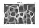 Fig. 05 - COMPONENT FOR FUEL CELL INCLUDING GRAPHENE FOAM AND FUNCTIONING AS FLOW FIELD AND GAS DIFFUSION LAYER