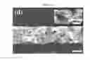 Fig. 08 - COMPONENT FOR FUEL CELL INCLUDING GRAPHENE FOAM AND FUNCTIONING AS FLOW FIELD AND GAS DIFFUSION LAYER