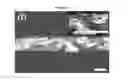 Fig. 10 - COMPONENT FOR FUEL CELL INCLUDING GRAPHENE FOAM AND FUNCTIONING AS FLOW FIELD AND GAS DIFFUSION LAYER