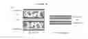 Fig. 17 - COMPONENT FOR FUEL CELL INCLUDING GRAPHENE FOAM AND FUNCTIONING AS FLOW FIELD AND GAS DIFFUSION LAYER