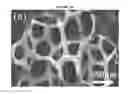 Fig. 04 - FLOW FIELD FOR FUEL CELL INCLUDING GRAPHENE FOAM