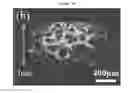 Fig. 05 - FLOW FIELD FOR FUEL CELL INCLUDING GRAPHENE FOAM