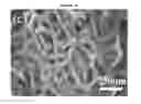 Fig. 06 - FLOW FIELD FOR FUEL CELL INCLUDING GRAPHENE FOAM