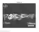 Fig. 07 - FLOW FIELD FOR FUEL CELL INCLUDING GRAPHENE FOAM