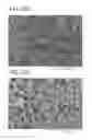 Fig. 23 - POSITIVE ELECTRODE ACTIVE MATERIAL PARTICLE AND METHOD FOR MANUFACTURING POSITIVE ELECTRODE ACTIVE MATERIAL PARTICLE