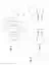 Fig. 02 - Modular Lighting and Ancillary Component Apparatus and System