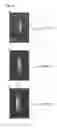 Fig. 13 - Light source configured for stabilization relative to external operating conditions