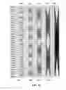 Fig. 16 - Asymmetric heterogeneous waveform shaping in wireless communications