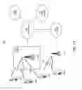 Fig. 02 - Triggered transmission opportunity and multiple user ACK procedures in WLAN systems