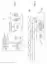 Fig. 09 - Triggered transmission opportunity and multiple user ACK procedures in WLAN systems