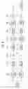 Fig. 09 - Apparatus for transmitting broadcast signals, apparatus for receiving broadcast signals, method for transmitting broadcast signals and method for receiving broadcast signals