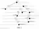 Fig. 02 - IP routing search