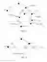 Fig. 03 - IP routing search