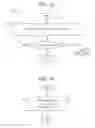 Fig. 11 - Programmable broadband gateway hierarchical output queueing