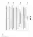 Fig. 06 - Threaded conversation channel with a temporarily exclusive conversation