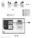 Fig. 06 - Apparatus and method for secure provisioning of a communication device
