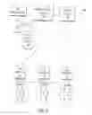 Fig. 08 - Behavioral white labeling