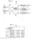 Fig. 03 - Identifying content items for inclusion in a shared collection