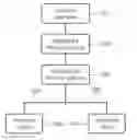 Fig. 01 - Apparatus for mobile application and frequency spectrum generator
