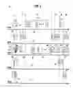 Fig. 04 - Edge injected speech in electronic communications