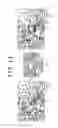 Fig. 13 - Image processing apparatus and method