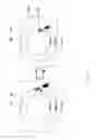 Fig. 28 - Imaging device, imaging method, and recording medium