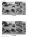 Fig. 05 - Providing 3D look-up table (LUT) estimation for color gamut scalability