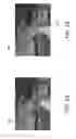 Fig. 02 - Predicting and verifying regions of interest selections