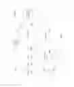 Fig. 04 - Broadcast synchronization