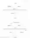 Fig. 13 - Video distribution method and device