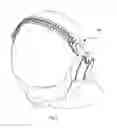 Fig. 07 - Headband for a pair of headphones, a corresponding pair of headphones and a method of providing the headband