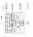 Fig. 03 - System, method, and terminal device