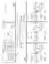 Fig. 04 - Hierarchical transmission in wireless communications