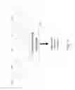 Fig. 18 - Processing data from a portable processing device