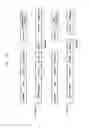 Fig. 49 - Structure of MAC sub-header for supporting next generation mobile communication system and method and apparatus using the same