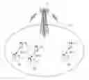 Fig. 01 - Base station and scheduling method