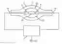 Fig. 01 - Operating a ballast for a gas discharge lamp