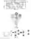 Fig. 02 - Hyperelastic binder for printed, stretchable electronics