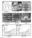 Fig. 15 - Hyperelastic binder for printed, stretchable electronics