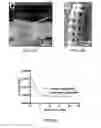 Fig. 18 - Hyperelastic binder for printed, stretchable electronics
