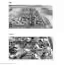 Fig. 02 - METHODS AND COMPOSITIONS FOR PRODUCTION OF WATERMELON FRUIT