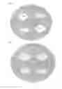 Fig. 03 - METHODS AND COMPOSITIONS FOR PRODUCTION OF WATERMELON FRUIT