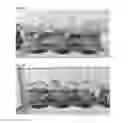 Fig. 05 - METHODS AND COMPOSITIONS FOR PRODUCTION OF WATERMELON FRUIT