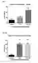 Fig. 03 - MEDETOMIDINE FOR USE IN CONTROLLING PARASITIC CRUSTACEANS ON FISH