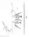 Fig. 04 - Fish Stringer