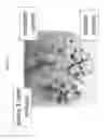 Fig. 08 - Magnetically immobilized microbiocidal enzymes